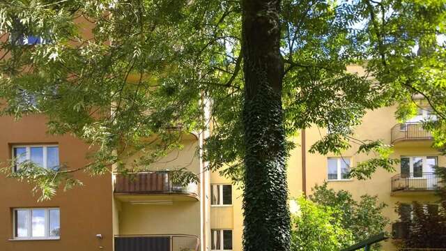 Апартаменты Apartament w Krakowie Краков-20